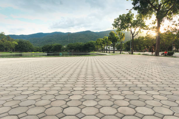 Best Concrete Paver Driveway  in Murfreesboro, NC